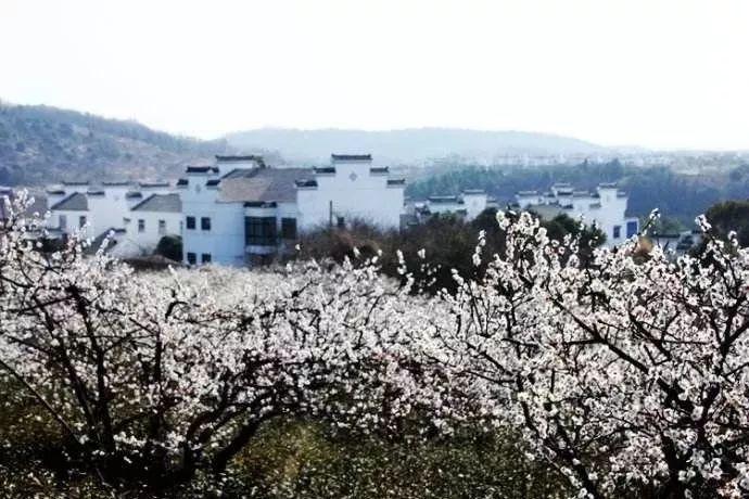 战斗机飞行员在飞行中想大小便怎么办？游戏画面
