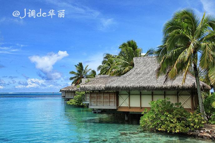杨梅树肥料十二月了还可以施肥吗？游戏画面
