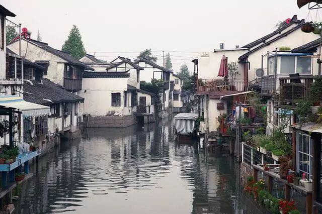 *ST左江二度触发“异常波动”并停牌核查 市场分析：切勿有“博反弹”心理