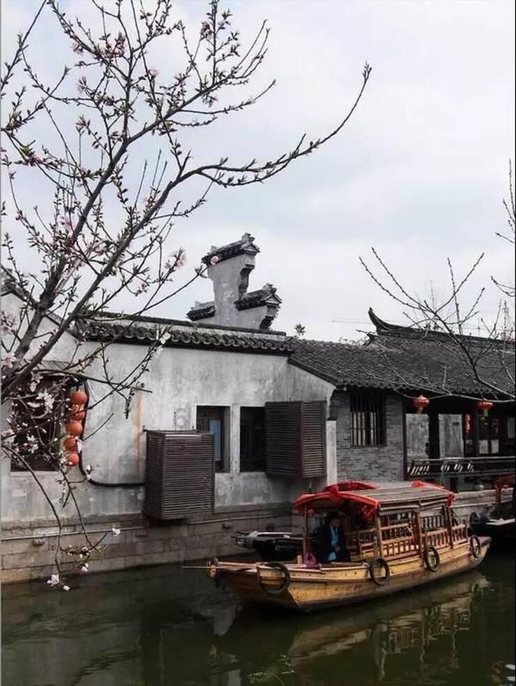 偶像经纪人